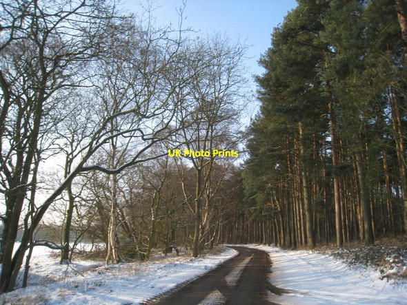 Photo 6"x4" Road alongside Sands Plantation Holton le Moor c2012