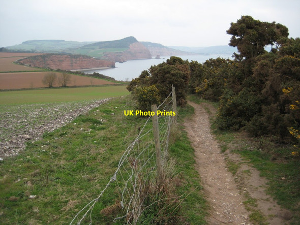 Photo 6"x4" Coast path approaching Chesilbury Bay North Star c2012