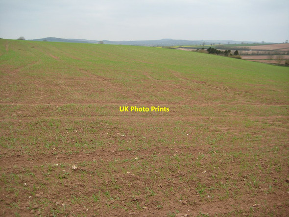 Photo 6"x4" Arable field near Brandy Head North Star c2012