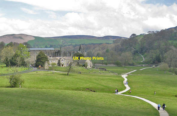 Photo 6"x4" Path through Bolton Abbey Estate Bolton Abbey c2012