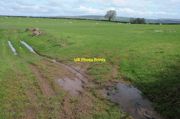Photo 6"x4" Farmland at Brilley Mountain Brilley Mountain c2012