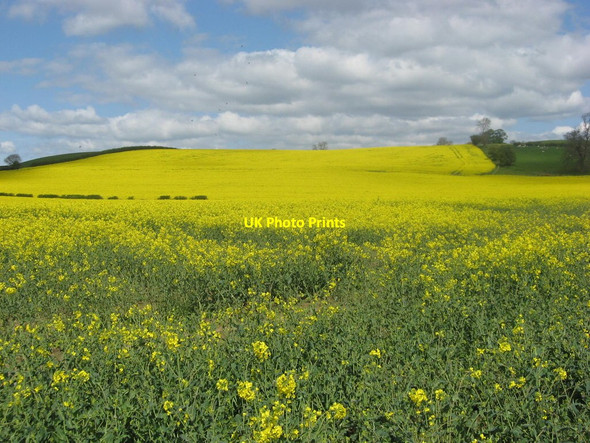 Photo 6"x4" Barker Hill Oulston c2012