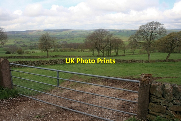 Photo 6"x4" Gate and Fields near Sheen Hill Brund c2012