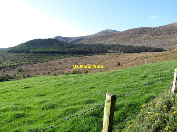 Photo 6"x4" Cultivated grassland on intake land on the northern fringes of the Mourne Mountains Newcastle\/J3732 c2012