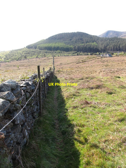 Photo 6"x4" Stone wall and path linking Curraghard and Drinnahilly mountains Newcastle\/J3732 c2012
