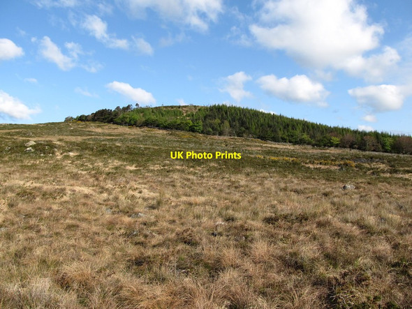 Photo 6"x4" View north across moorland to Curraghard mountain Newcastle\/J3732 c2012