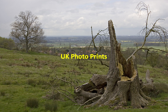 Photo 6"x4" Bishop Wilton from the east Bishop Wilton c2012