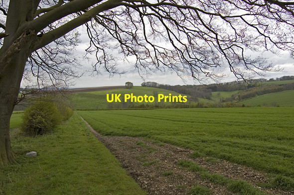 Photo 6"x4" Near Little Givendale Farm Millington c2012