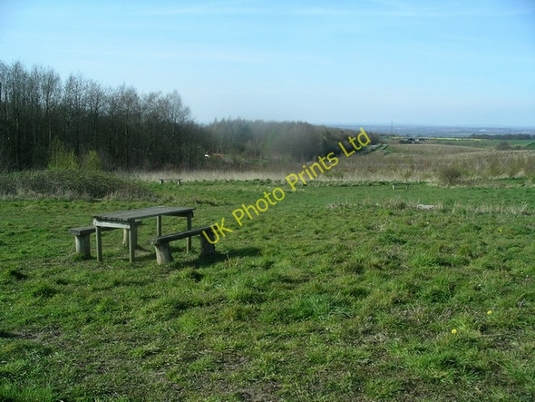 Photo 6"x4" Picnic area, Lamont Wood Foremark c2007