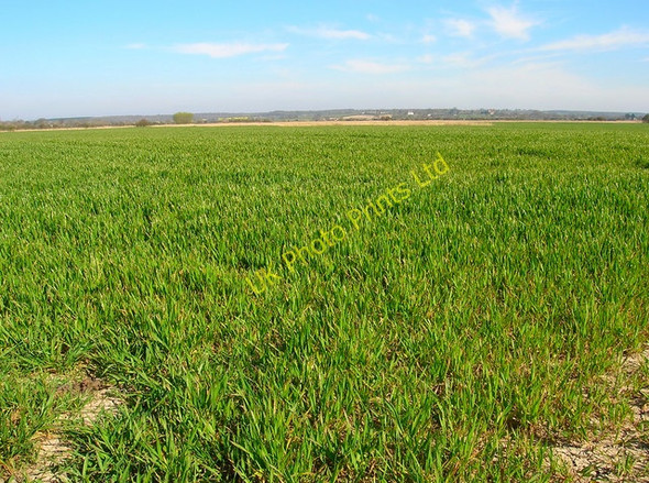 Photo 6"x4" The Dowels Snargate c2007