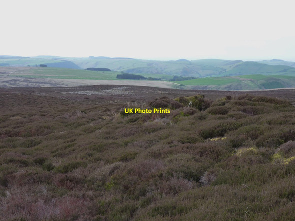 Photo 6"x4" Remains of a grouse butt on Bryn Du Blaen-y-cwm\/SJ1437 c2012