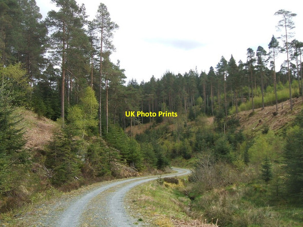 Photo 6"x4" Creag na h-Iolaire Brig o' Turk c2012