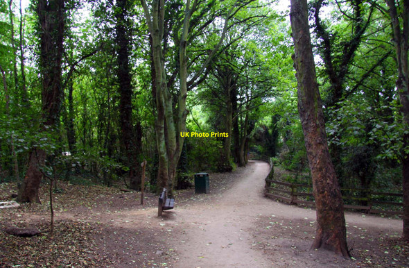 Photo 6"x4" Footpath through the Humber Bridge Country Park Hessle\/TA0326 c2011 P1