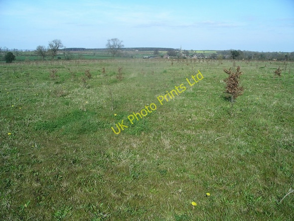 Photo 6"x4" Scaddows Wood Ticknall c2007