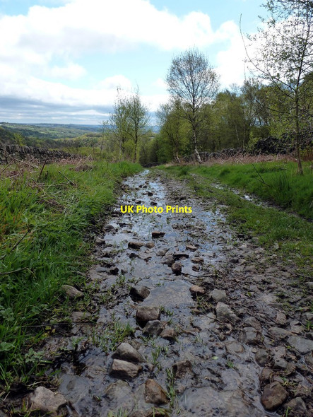 Photo 6"x4" Car Road Unthank\/SK3076 c2012