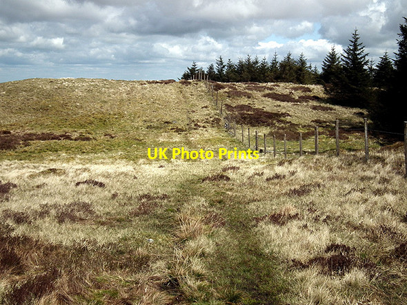 Photo 6"x4" Looking back on the path to Y Garn Y Garn\/SN7785 c2012