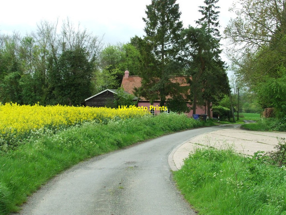 Photo 6"x4" Field Lane Cottage Boyton End\/TL7144 c2012