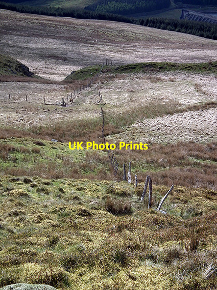 Photo 6"x4" Fence line on Drum Peithnant Y Garn\/SN7785 c2012