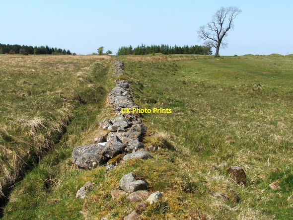 Photo 6"x4" Old field boundary Johnstone\/NS4362 c2012