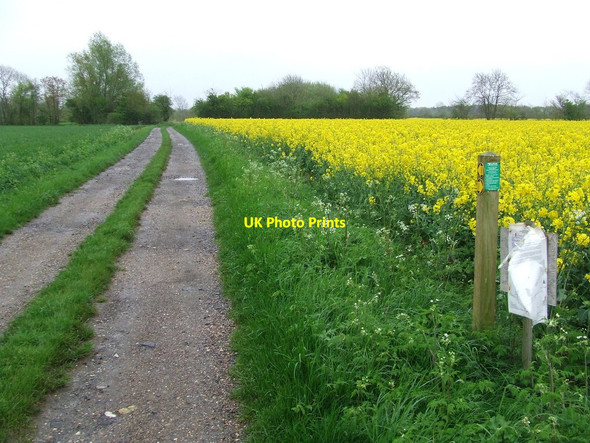 Photo 6"x4" Official Path Diversion Mill Green\/TM1360 c2012