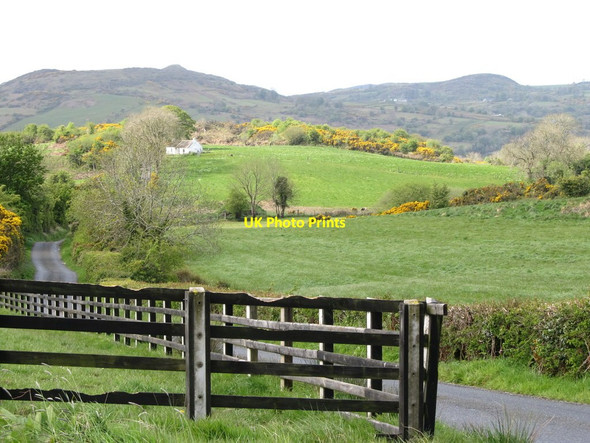 Photo 6"x4" Cottage on Carrickcloghan Hill Camlough c2012