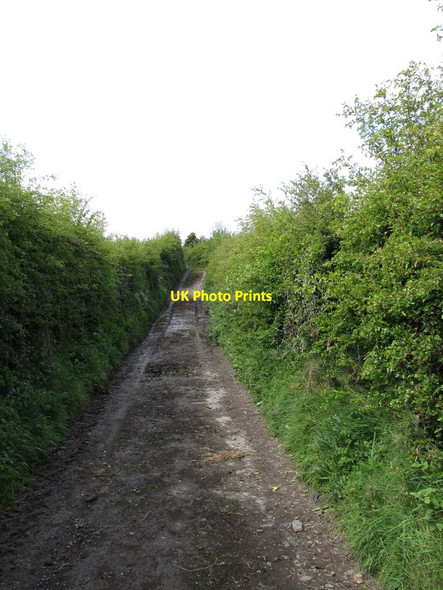 Photo 6"x4" The muddy middle section of the unnamed lane linking Divernagh and Chapel Roads Kingsmills c2012