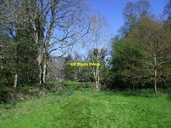 Photo 6"x4" Inchmahome [2] Port of Menteith c2012