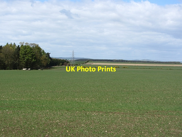 Photo 6"x4" Devon arable Coaltown of Burnturk c2012