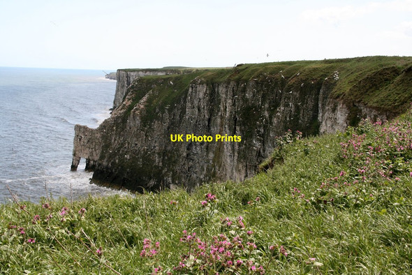 Photo 6"x4" Bempton Cliffs Bempton c2012 P1