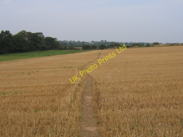 Photo 6"x4" Footpath to Kenilworth Honiley c2005