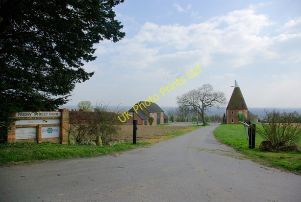 Photo 6"x4" Friday Street Farm Sutton Valence c2007