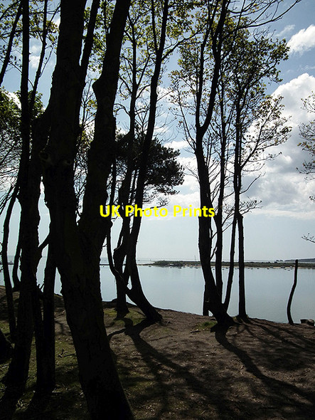 Photo 6"x4" Looking towards Shell Bay from south Brownsea Sandbanks c2012