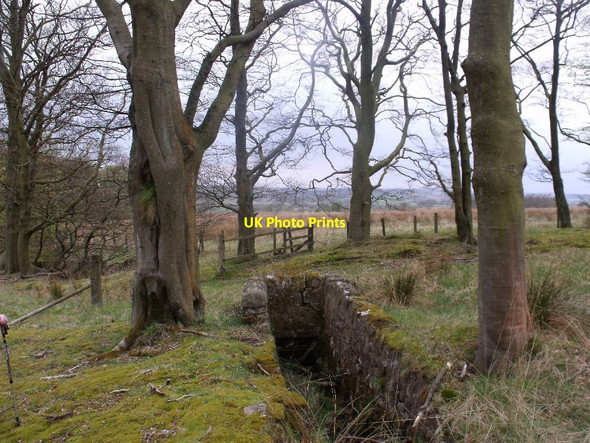 Photo 6"x4" Blackbrigg, field drain Shieldhill\/NS8976 c2012
