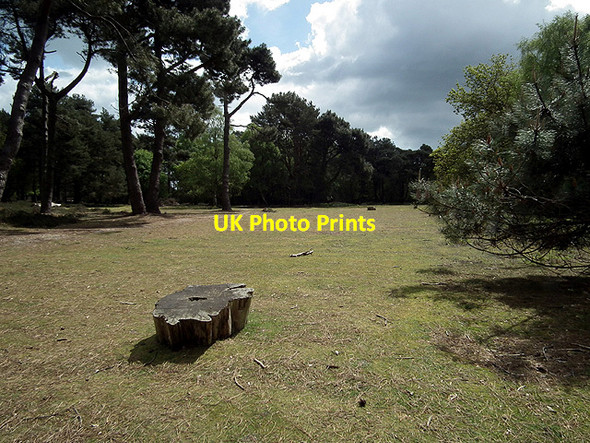Photo 6"x4" Open space near Lincoln Cliff on Brownsea Island Sandbanks c2012