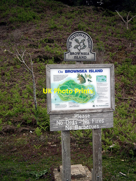 Photo 6"x4" The National Trust - Brownsea Island Lower Hamworthy c2012