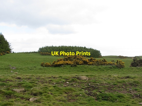 Photo 6"x4" Whins, Devon Coaltown of Burnturk c2012