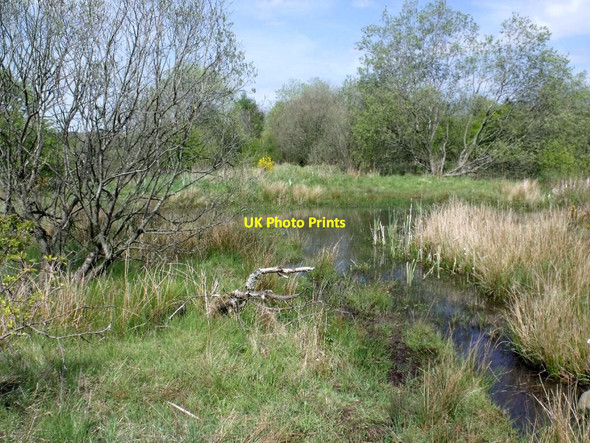 Photo 6"x4" Cumbernauld, Ravenswood Local Nature Reserve [12] Blackwood\/NS7274 c2012