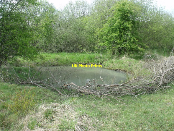 Photo 6"x4" Cumbernauld, Ravenswood Local Nature Reserve [13] Blackwood\/NS7274 c2012