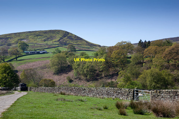 Photo 6"x4" The Nab from near Waites House Farm Westerdale\/NZ6605 c2012