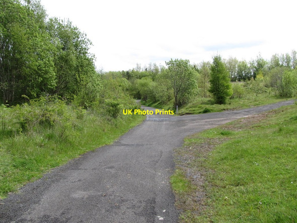 Photo 6"x4" Trail junction at Colin Glen Forest Park Dunmurry c2012