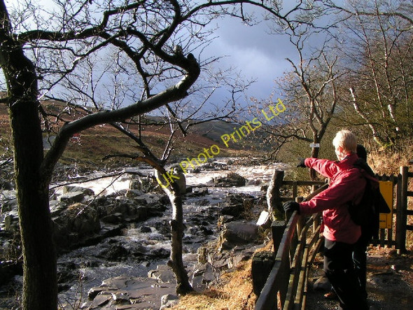 Photo 6"x4" River Tees above High Force Ettersgill c2004