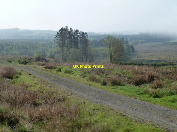 Photo 6"x4" Forest track, upper Marteg valley Bwlch-y-sarnau c2012
