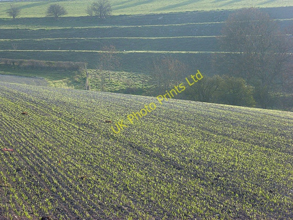 Photo 6"x4" Farmland and strip lynchets, Upavon Upavon c2007