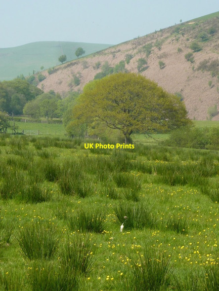 Photo 6"x4" Valley floor and hillside Abbeycwmhir c2012