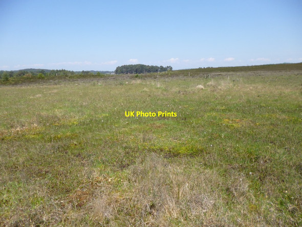 Photo 6"x4" Cranes Moor, bogland Burley Beacon c2012