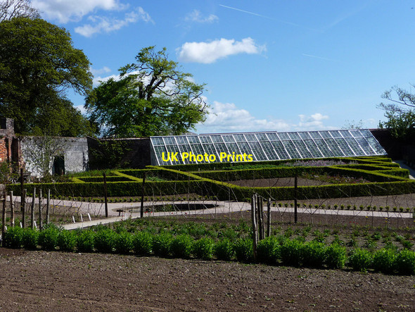 Photo 6"x4" Gardens of Heligan Kestle\/SW9945 c2012