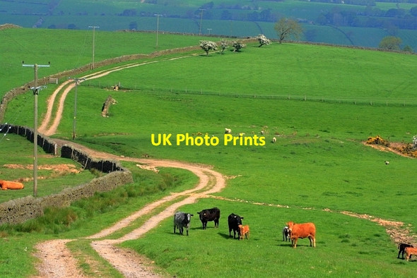 Photo 6"x4" Track to Towdy Potts Upper Town\/NZ0737 c2012
