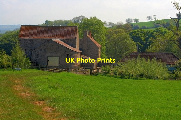 Photo 6"x4" Towdy Potts Upper Town\/NZ0737 c2012