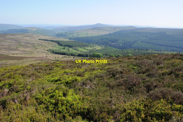 Photo 6"x4" Southern slopes of B\u00c3\u00a2l Mawr Llanthony c2012