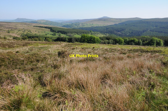 Photo 6"x4" View into Cwm Grwyne Llanthony c2012